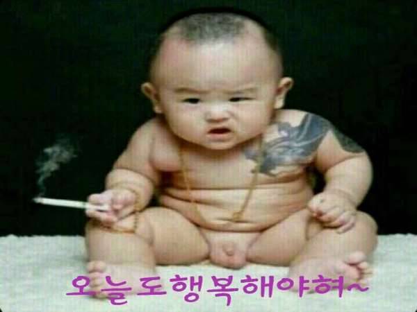 열심히 살자님께서 아래 올려주신 아이 돌사진입니다 (중고장터 - 장터자유게시판)