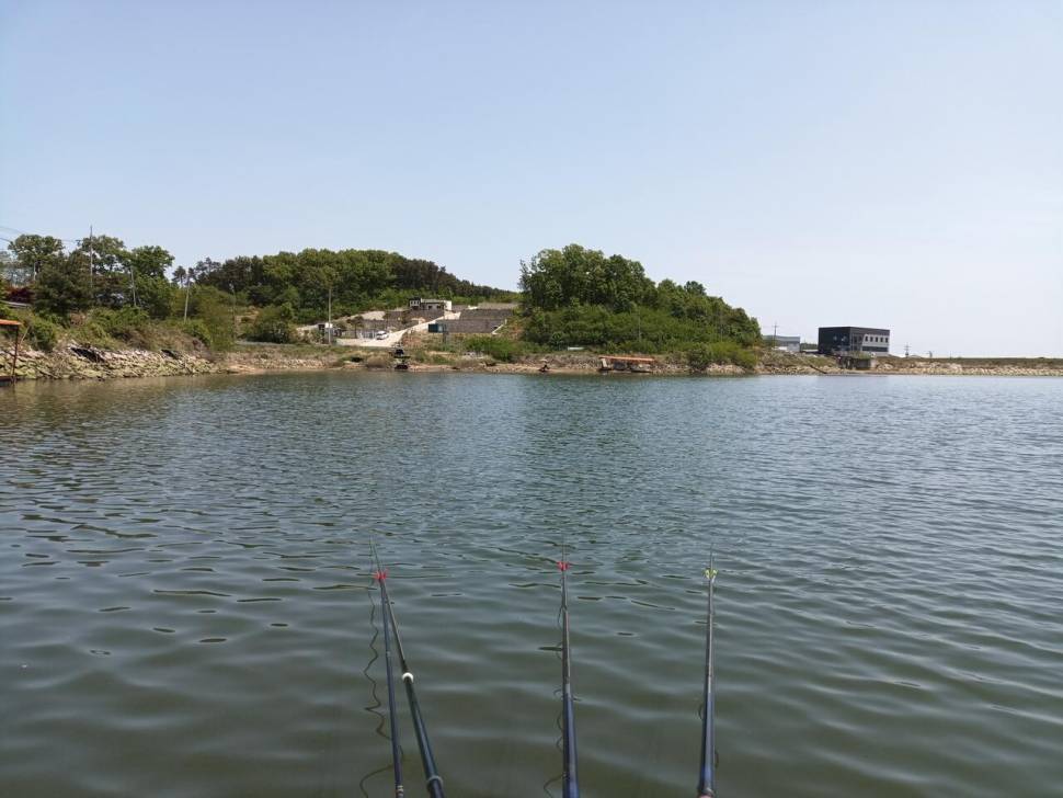 청명 프리미엄 단종되서 앞으로 나오지 않을거란 애기가많이 도는데요 (중고장터 - 장터자유게시판)