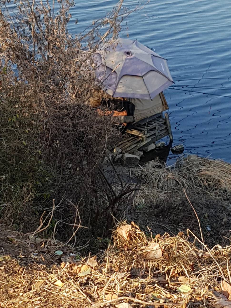불법좌대 어떻게해야 될까요 (중고장터 - 장터자유게시판)