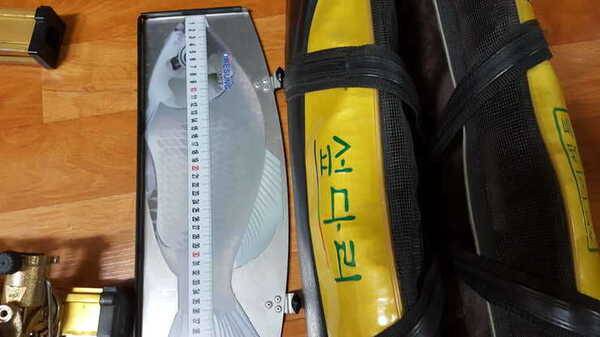 섶다리 금장10단미니7070뒷꽂이 (중고장터 - 팝니다)
