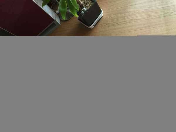 장찌 80120까지 11개 (중고장터 - 팝니다)