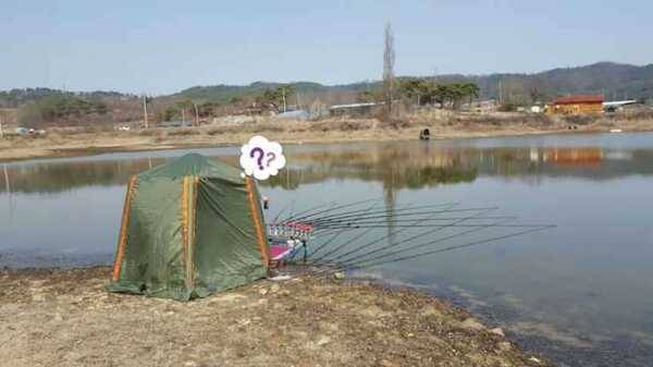 그린비2플러스고강마루특대100사이즈 실버 (중고장터 - 팝니다)
