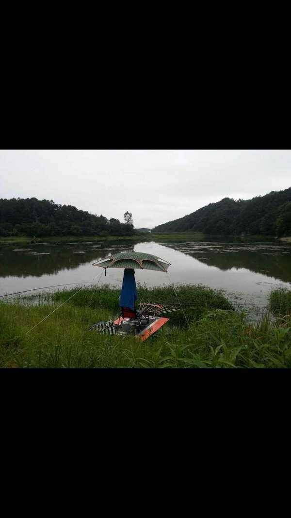 그린비 큐브2단 47인치 (중고장터 - 팝니다)