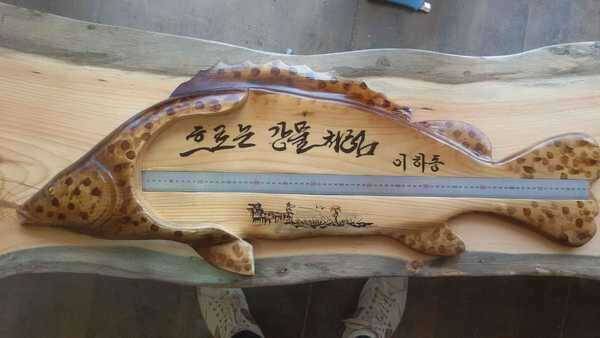 수보20 계측자 팝니다 (중고장터 - 팝니다)