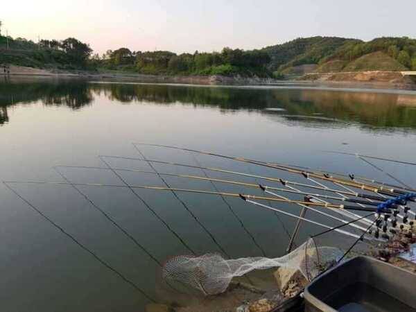 불용품 (중고장터 - 팝니다)