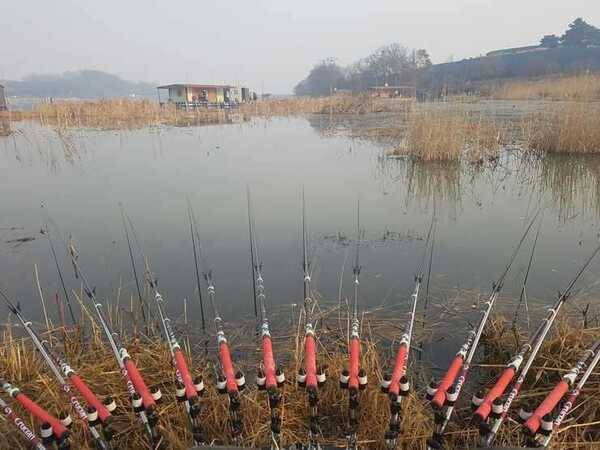 천류 천년학 팔아요 (중고장터 - 팝니다)