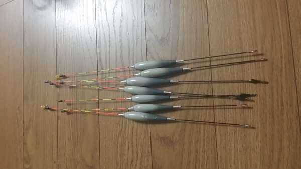 대물찌 슬림찌 분양합니다 (중고장터 - 팝니다)