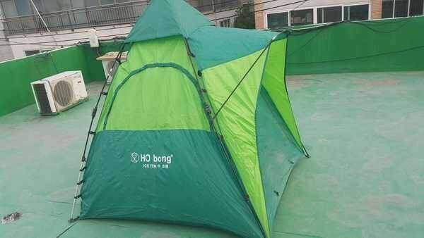 호봉 中 텐트 팜 (중고장터 - 팝니다)