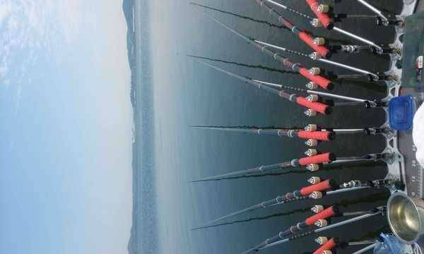 록시 (중고장터 - 팝니다)