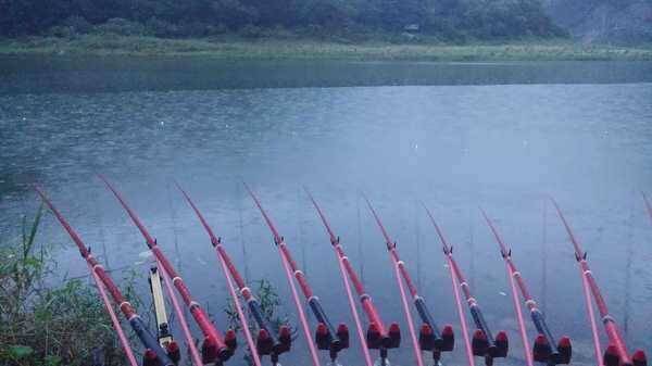 낚시장비판매 (중고장터 - 팝니다)