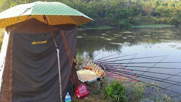 설골빨2648쌍포14대보증서12장 (중고장터 - 팝니다)