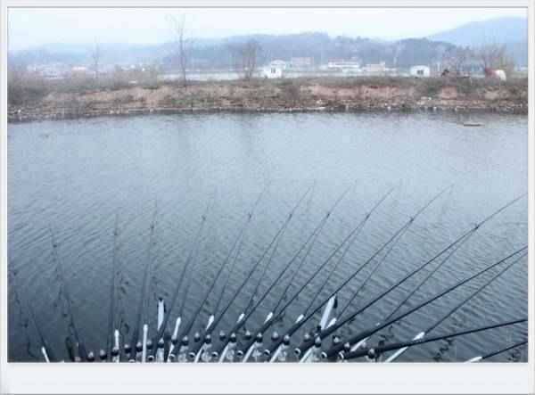 큐우경뒷꽂이받침대받침틀 장비 각개 팝니다 직거래만 합니다 (중고장터 - 팝니다)