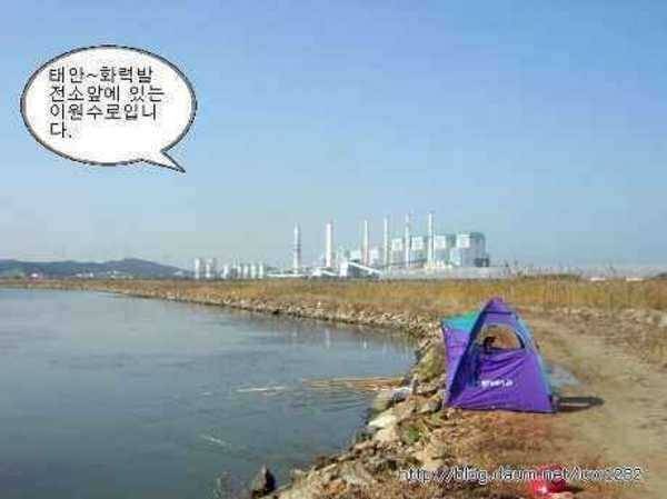 그린비 자동텐트와 큰나무 파라솔 분양 (중고장터 - 팝니다)