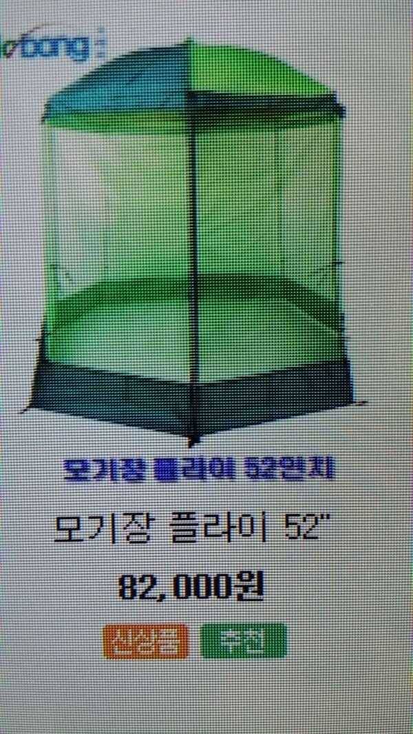 티피텐트파라솔후라이2종좌대발톱분양 (중고장터 - 팝니다)