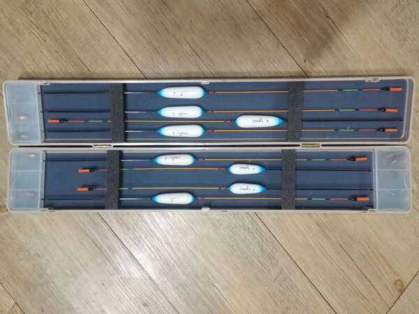 군계일학 매월이 역광물방개 팝니다 (중고장터 - 팝니다)