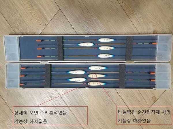 군계일학 매월이 역광물방개 팝니다 (중고장터 - 팝니다)