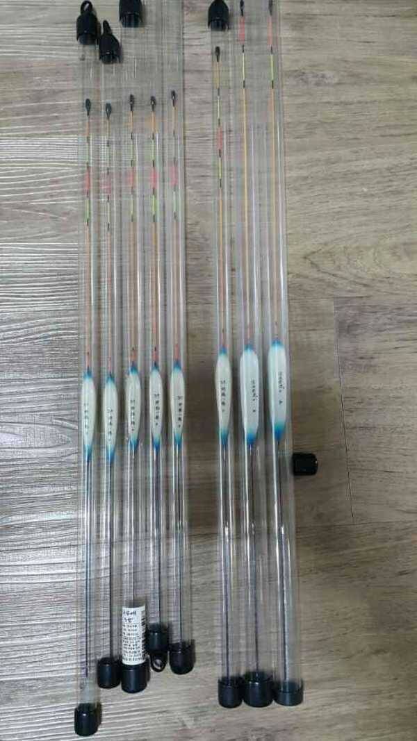 사월이 대2 역광 물방개 대1 중5개 팝니다 (중고장터 - 팝니다)