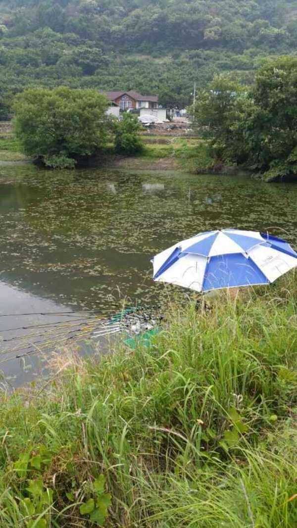 경산각개진행단 직거래만택배죄송합니다 (중고장터 - 팝니다)