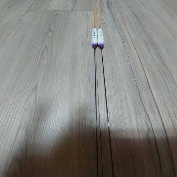 군계일학 물방개초롱이 판매 (중고장터 - 팝니다)