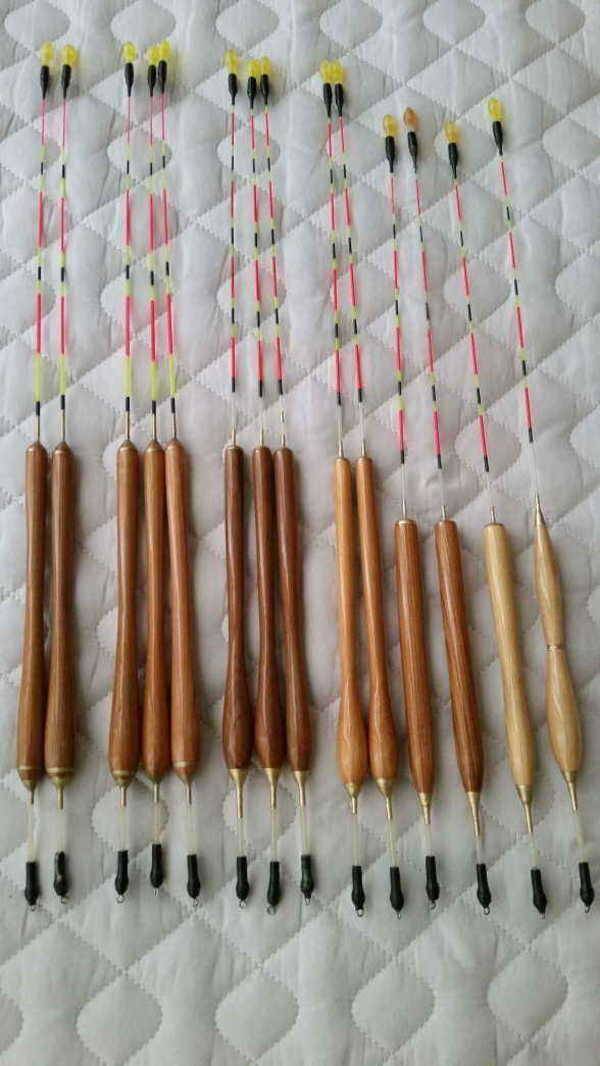 찌 분양 (중고장터 - 팝니다)