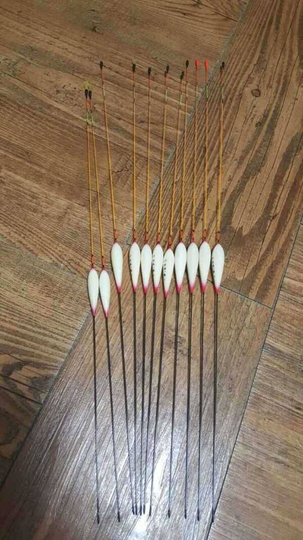 신수향일괄 역광 물방개특작 물방개특장 물방개선수용 (중고장터 - 팝니다)