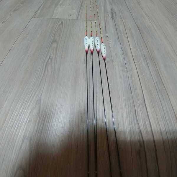 군계일학 물방개초롱이 판매 (중고장터 - 팝니다)