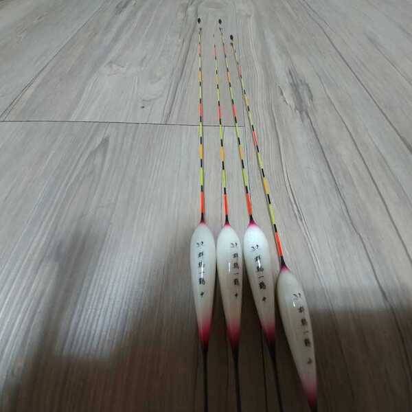 군계일학 물방개초롱이 판매 (중고장터 - 팝니다)