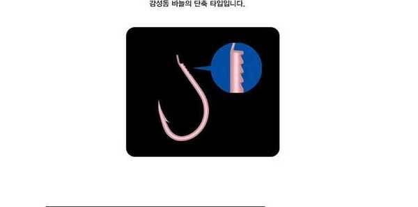 가마가츠 경기치누바늘 장절케이스 7개 (중고장터 - 팝니다)