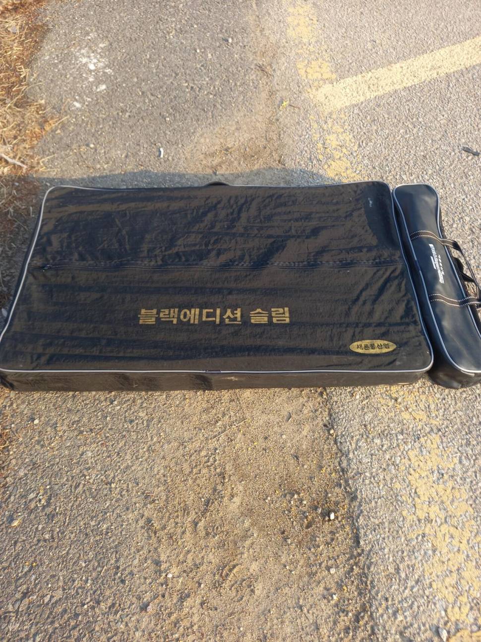 새론볼 슬림좌대 및 아피스 천년지기 분양합니다 (중고장터 - 팝니다)