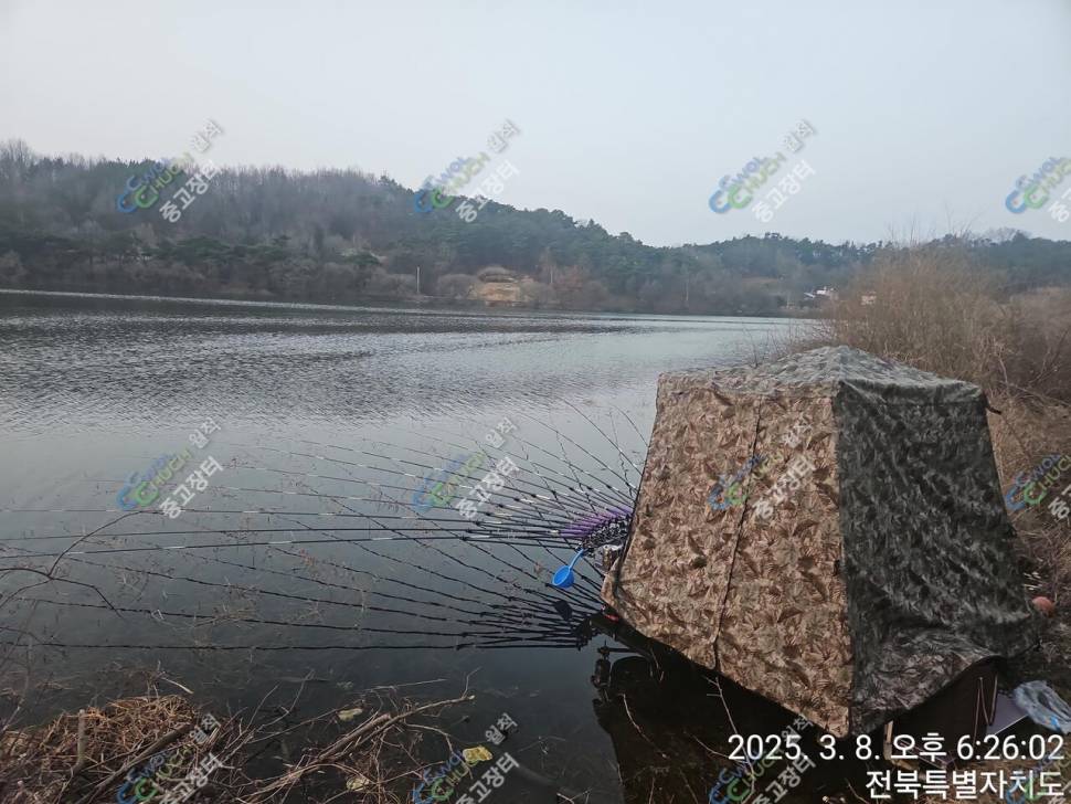클로버 좌대 1500 캠솔그린 1500 (중고장터 - 팝니다)
