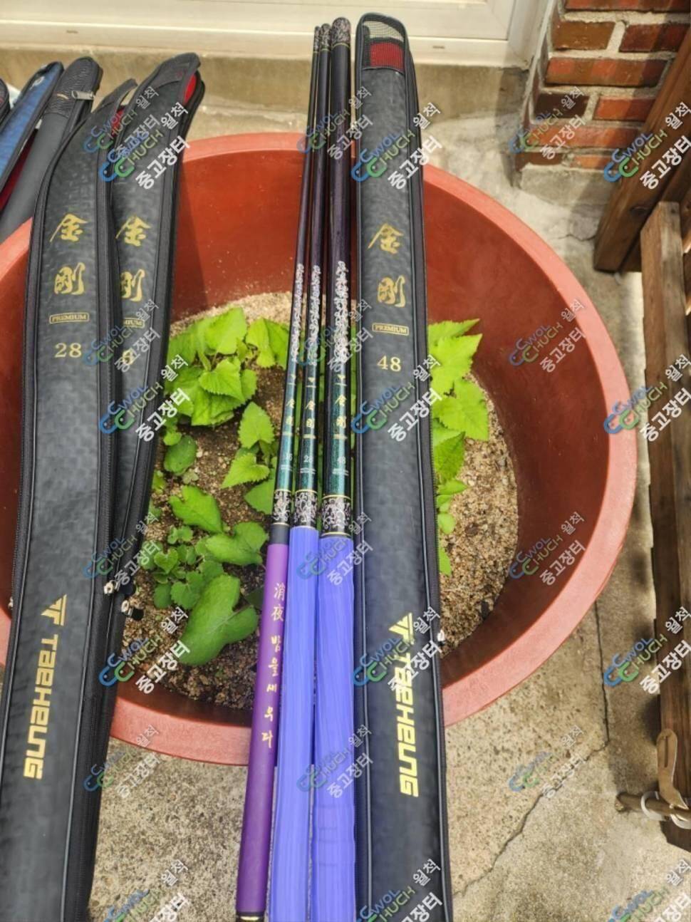 코모도300 금강프리미엄 아이테르 (중고장터 - 팝니다)