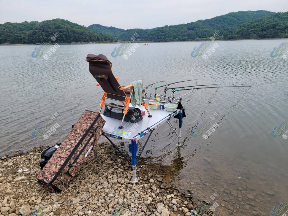 동일 나이스좌대 팝니다 (중고장터 - 팝니다)