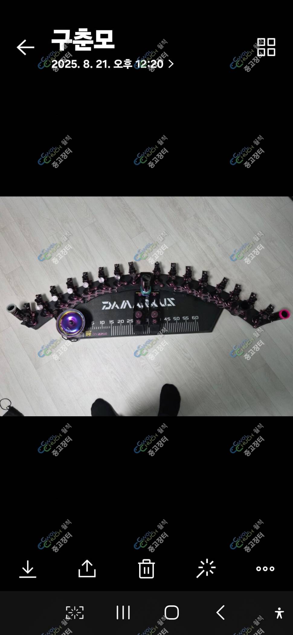 다마스쿠스 gtr16블핑 (중고장터 - 팝니다)