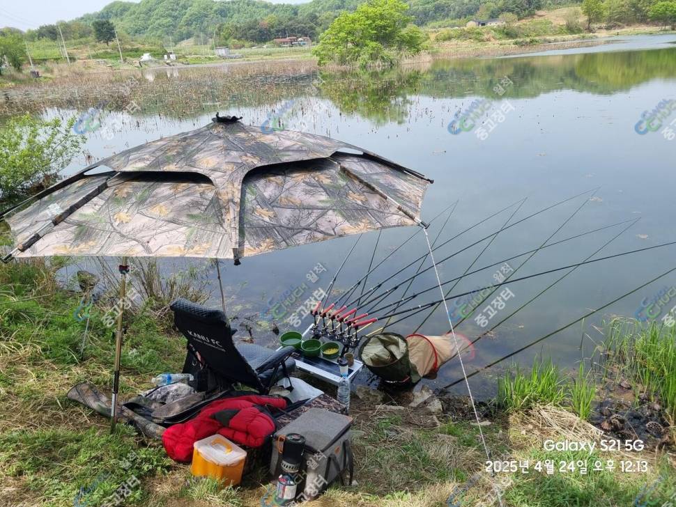 수보대와낚시용품 각개판매직거래만 (중고장터 - 팝니다)