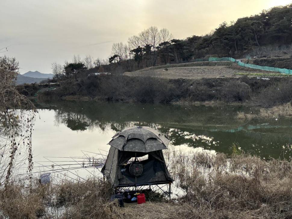 빈티지 2000 텐트세트스팀팟x 점보 플러스토요토미 (중고장터 - 팝니다)