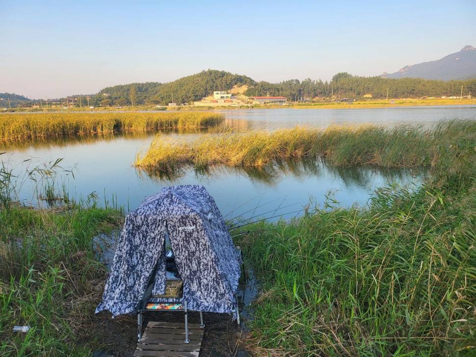 향수낚시대 등 낚시용품 (중고장터 - 팝니다)