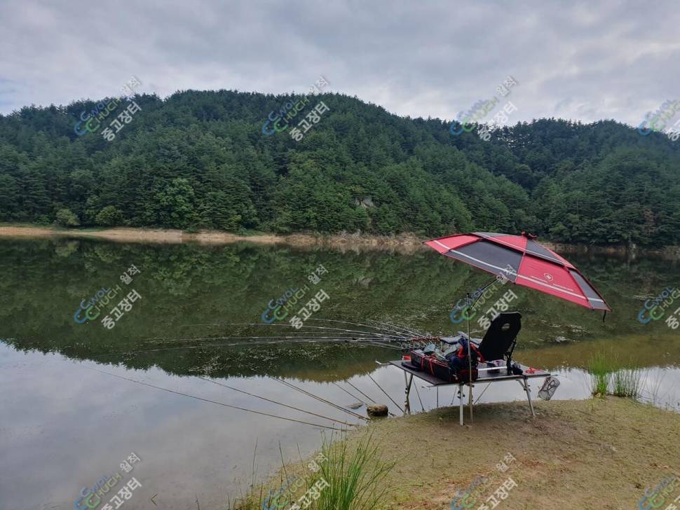착한좌대 와이드 판매합니다 (중고장터 - 팝니다)