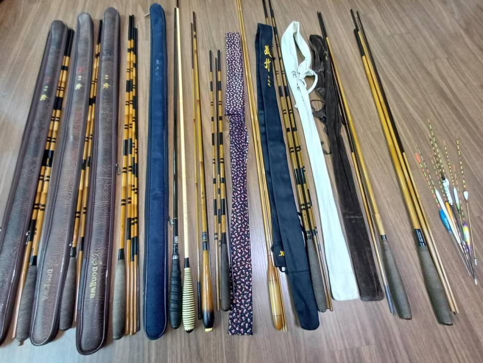 내림대 분양합니다 (중고장터 - 팝니다)