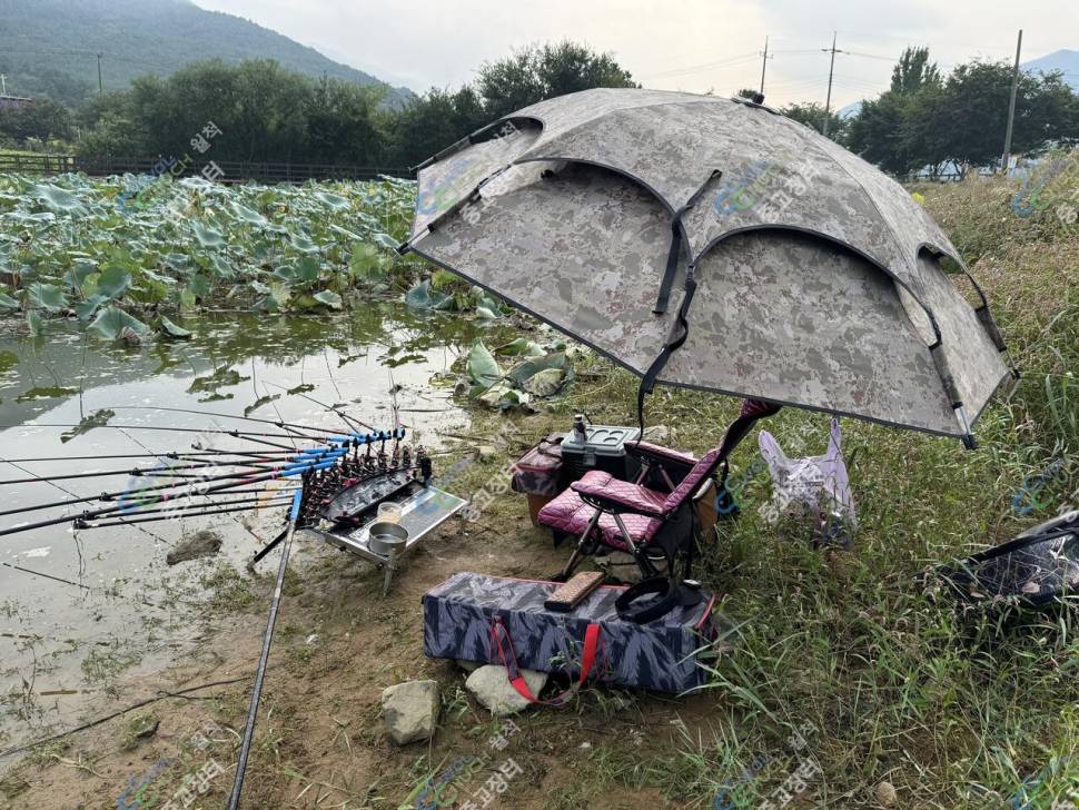 메가스피드 자립발판 베이직판매합니다 (중고장터 - 팝니다)