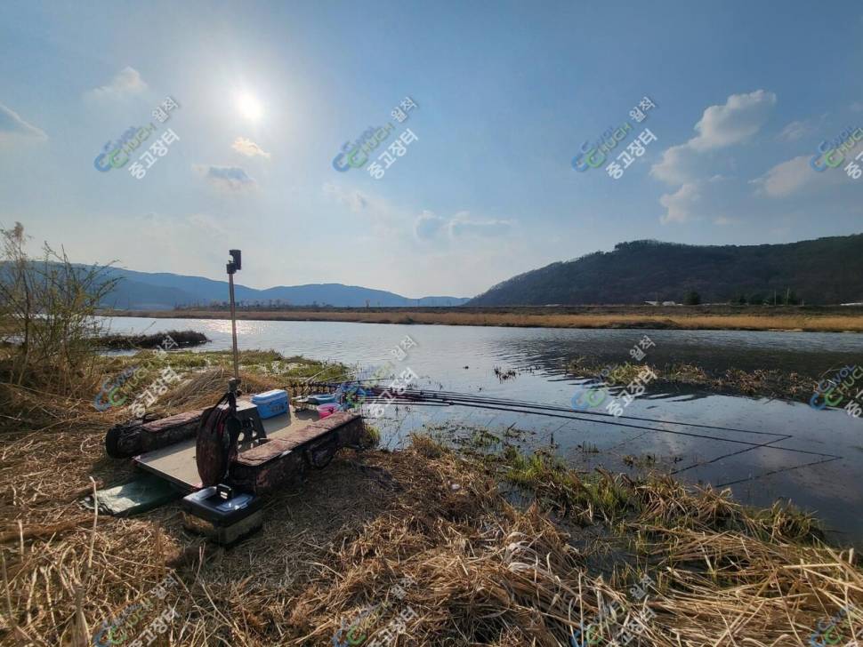 가격내림클로버발판1000X1400확장판 팝니다 (중고장터 - 팝니다)