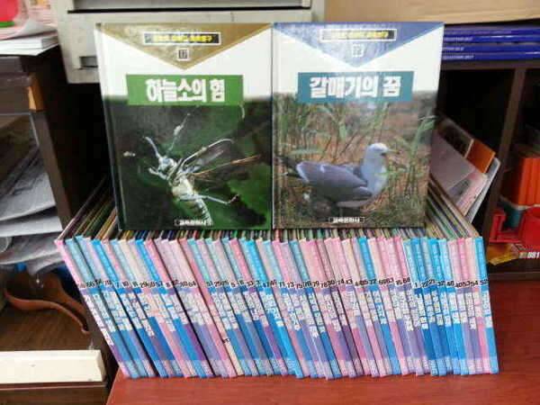 무료분양 (중고장터 - 교환무료)