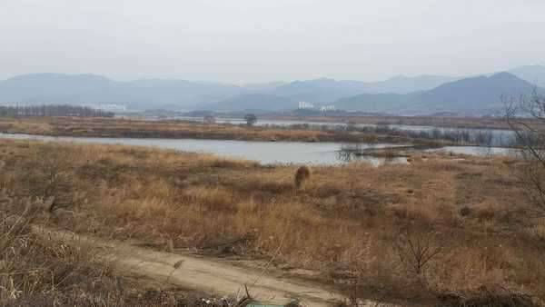 12단 레일로 교환 원해요 (중고장터 - 교환무료)
