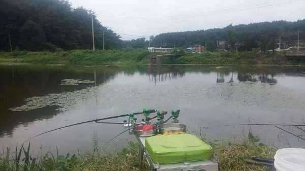 내림소좌내림전자찌내림대내림가방4단받침틀 (중고장터 - 교환무료)