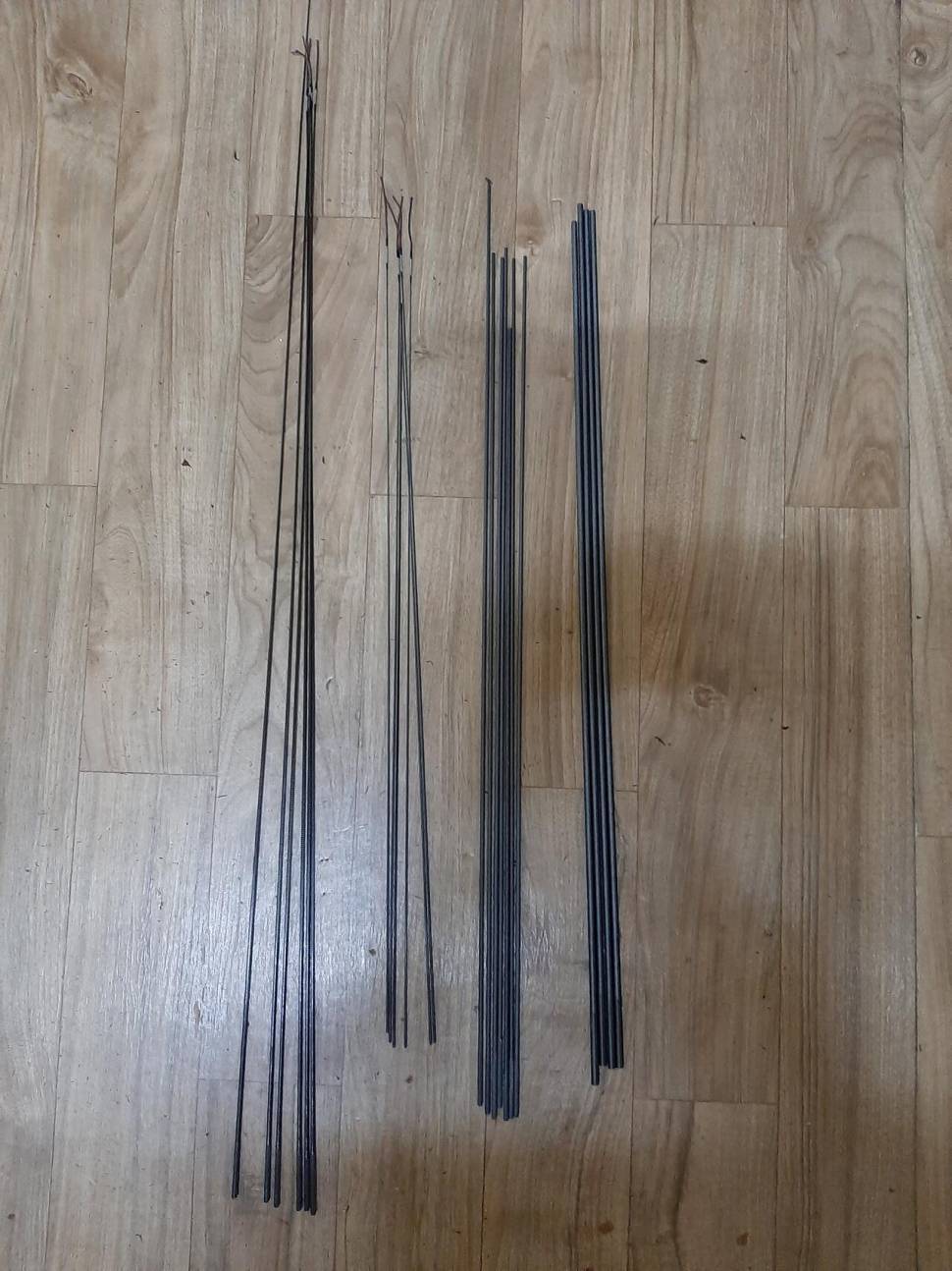 독존수릿대필요하신분에게무료분양드립니다 (중고장터 - 교환무료)