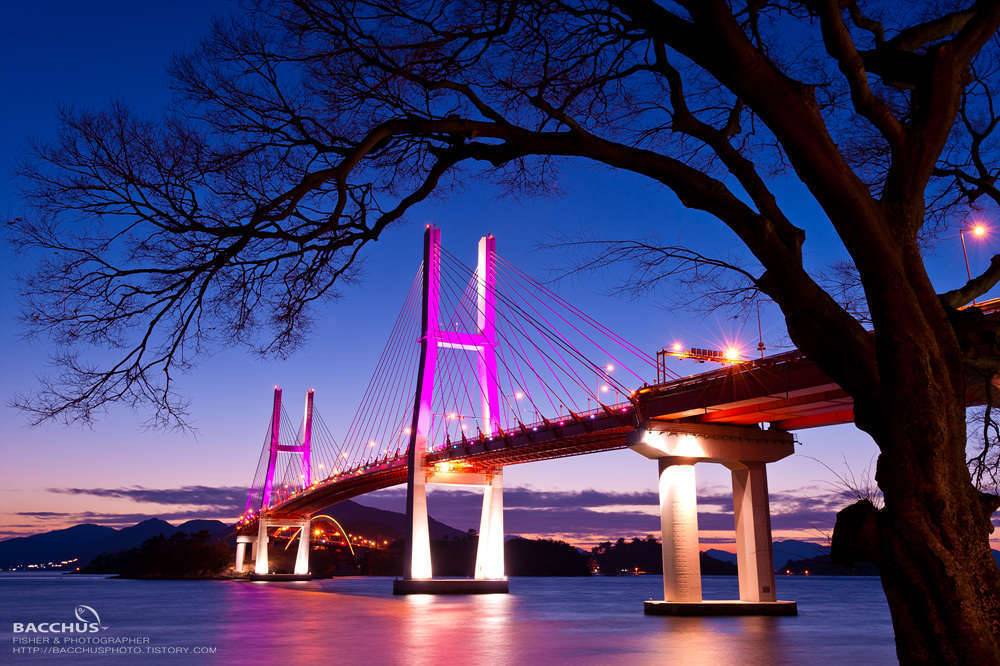 새해인사드립니다 (커뮤니티 - 포토갤러리)
