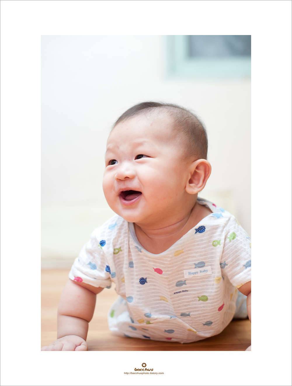 꾼의 조카 (커뮤니티 - 포토갤러리)