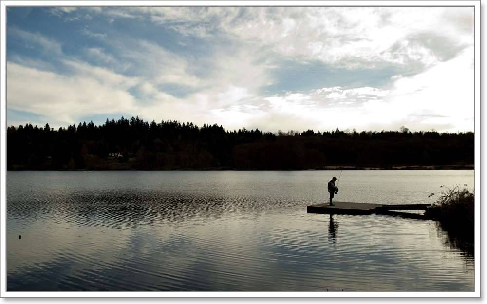 Deer Lake사슴지 in burnaby (커뮤니티 - 포토갤러리)