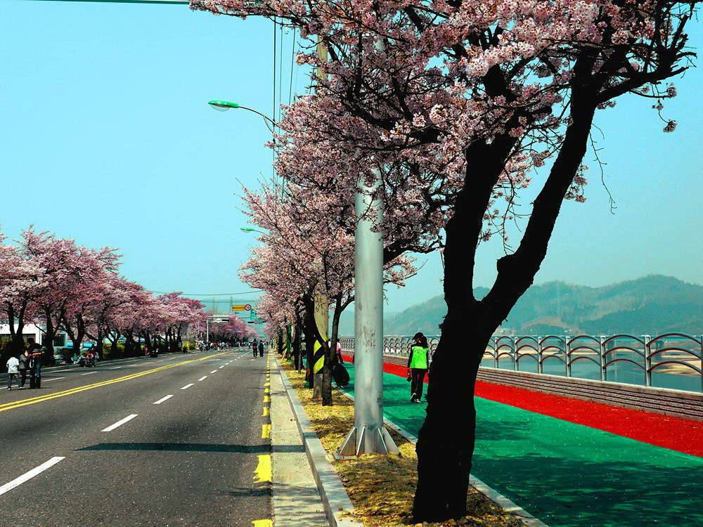 구미 낙동강변 (커뮤니티 - 포토갤러리)