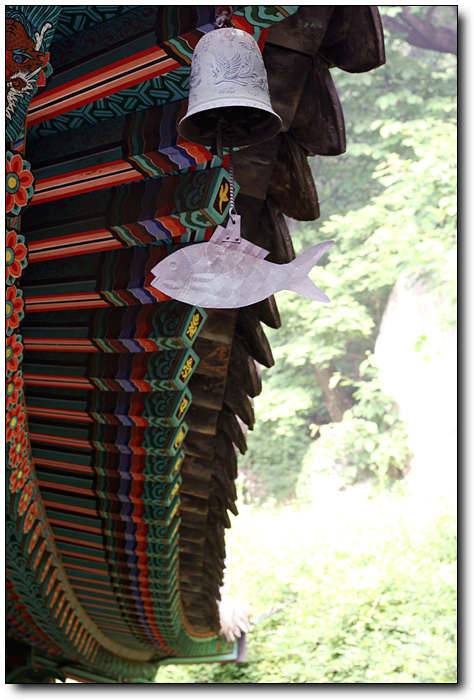 산사에서 (커뮤니티 - 포토갤러리)