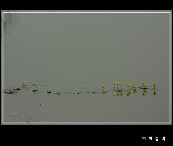 물가 에서 (커뮤니티 - 포토갤러리)